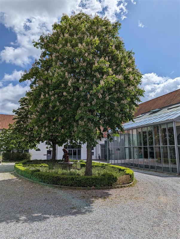 Ein großer belaubter Baum mit weißen Blüten steht in der Mitte eines kreisförmigen Heckengartens, unter dem eine Statue auf einer Bank sitzt. Ein modernes Glasgebäude und ein weißes Haus mit rotem Dach vervollständigen die Szene-Werde Teil des Teams und genieße diese Aussicht.